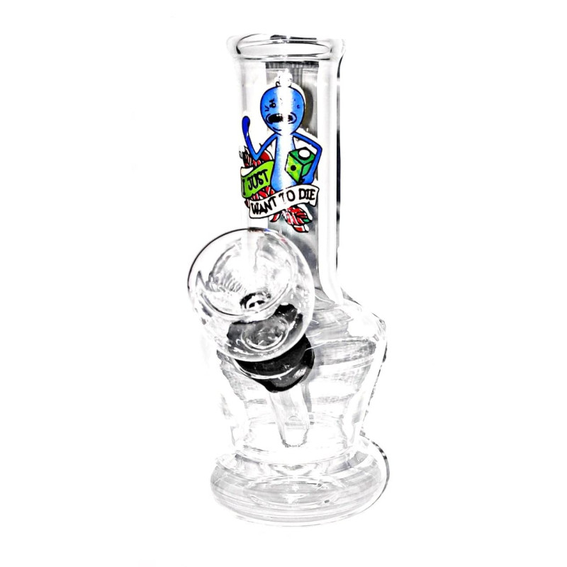 Newzenx Rick & Morty Water Pipe Glass Bong 4 Inch | Velvet Pouch