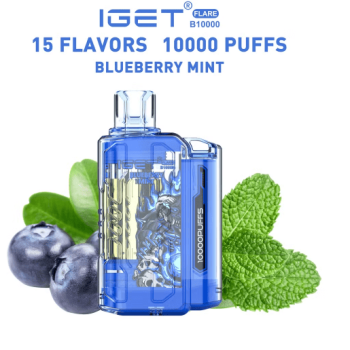 IGet Flare B10000 Disposable Vape | Bluberry Mint | 10000Puff E-Cigarette | 5% Nic Hookah