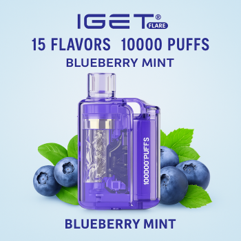 IGet Flare B10000 Disposable Vape | Bluberry Mint | 10000Puff E-Cigarette | 5% Nic Hookah