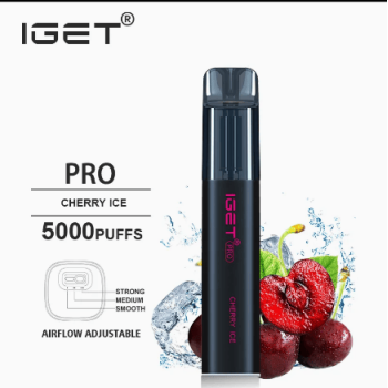 5000+ Puffs Iget Pro Disposable Vape | Vaporizer Hookah E-cigarettes