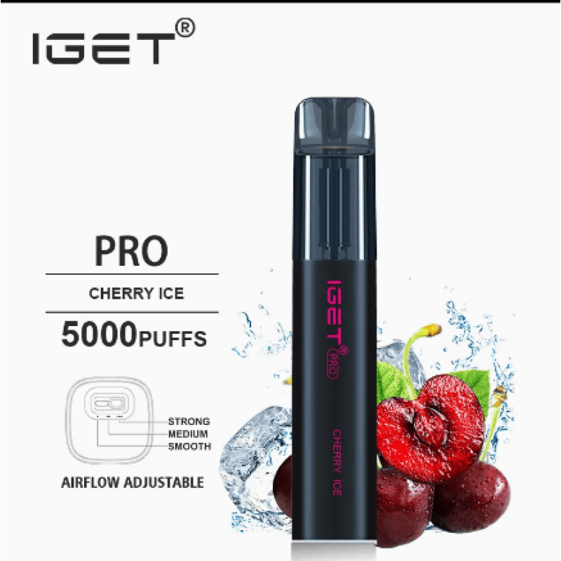 5000+ Puffs Iget Pro Disposable Vape | Vaporizer Hookah E-cigarettes