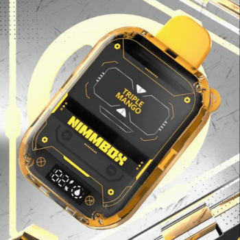 Nimmbox 8500Puff Strawberry Watermelon Disposable Vape | Type-C | 5% Nicotine E-Cigarette